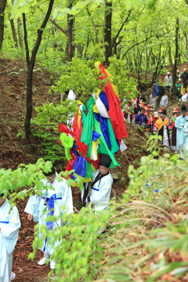 크기변환_강릉단오제 _신목모시기004.jpg